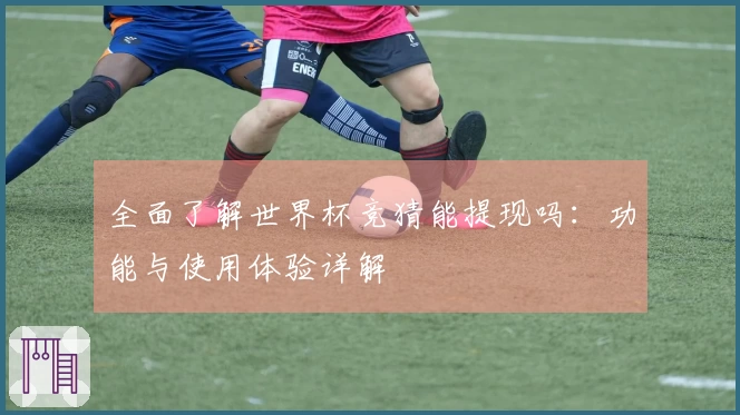 全面了解世界杯竞猜能提现吗：功能与使用体验详解