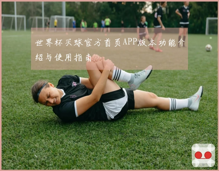 世界杯买球官方首页APP版本功能介绍与使用指南