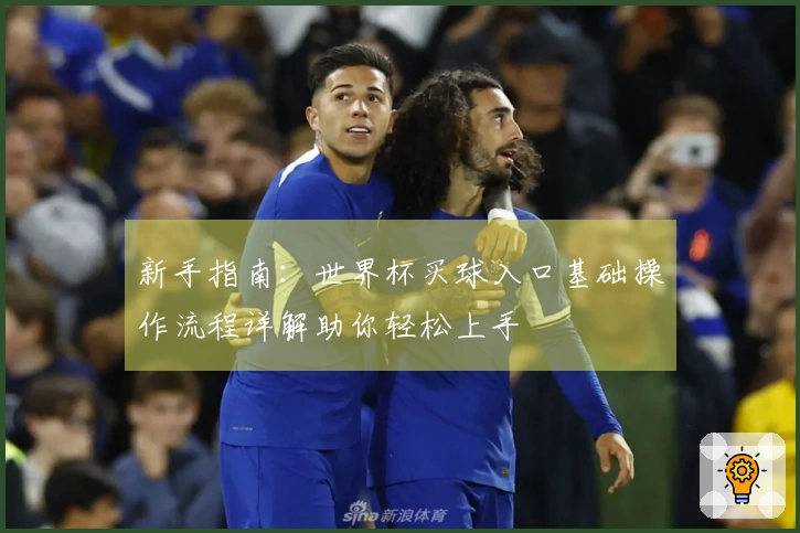 新手指南：世界杯买球入口基础操作流程详解助你轻松上手