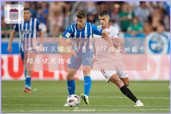 世界杯买球官方首页APP版本功能介绍与使用指南