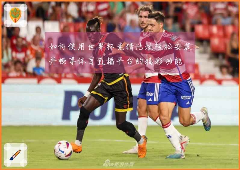 如何使用世界杯竞猜地址轻松安装并畅享体育直播平台的精彩功能